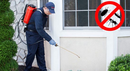 İnebolu Dezenfeksiyon böcek ilaçlama ve haşere kontrolü — ilaclama-tr.com